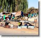 015 Soweto 14 DSC01040 * 2276 x 2115 * (4.01MB)